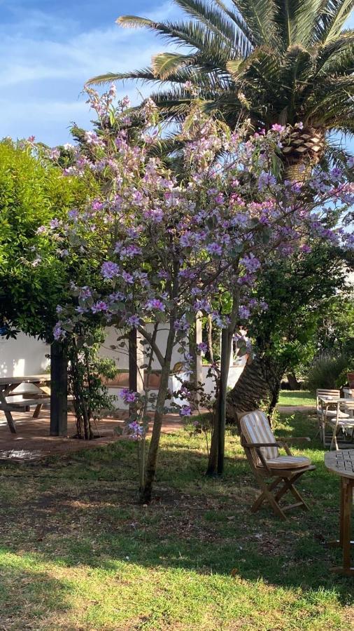 Отель Banti Garden Тарифа Экстерьер фото
